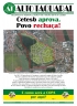 Edição 73 - 31/05/2014 - Clique para ler